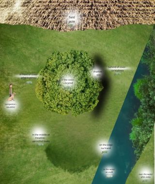 Obáváte se, že na WT nebudete rozumět anglicky mluvícím rozhodčím? To rozhodně nemusíte. V ČR jsou na WT přítomnosti...